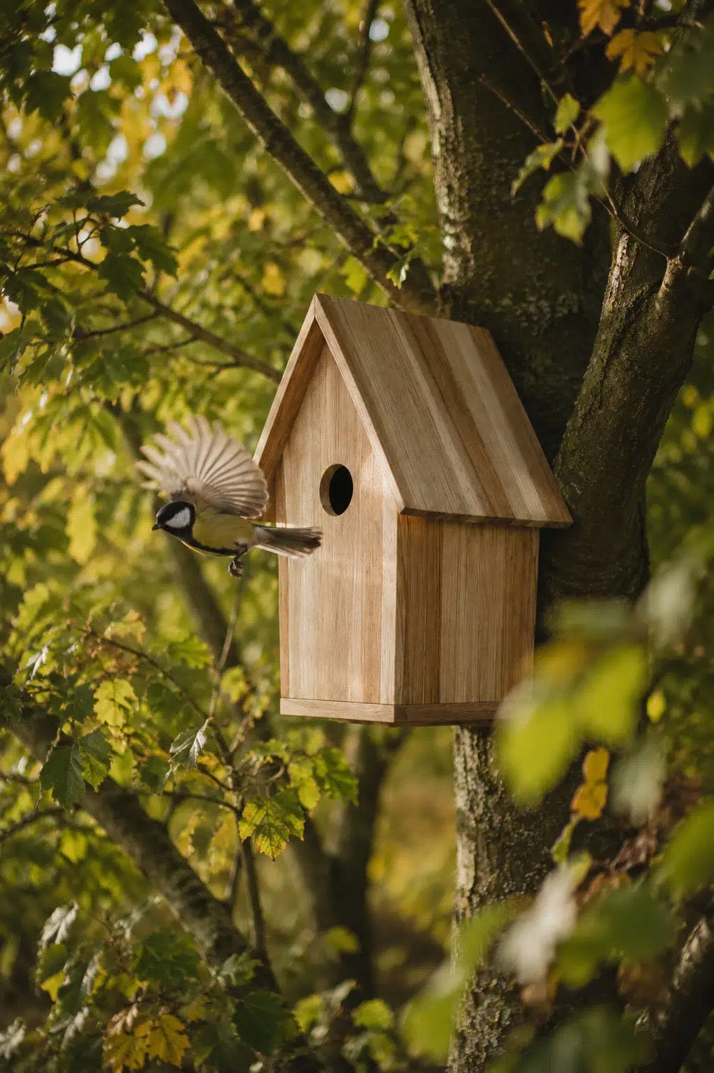 Vogelhaus Teak zum Aufhängen - B: 21cm x H: 30cm x T: 19 cm - zertifiziertes Plantagenteakholz