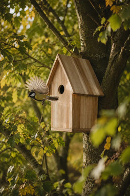 Vogelhaus Teak zum Aufhängen - B: 21cm x H: 30cm x T: 19 cm - zertifiziertes Plantagenteakholz